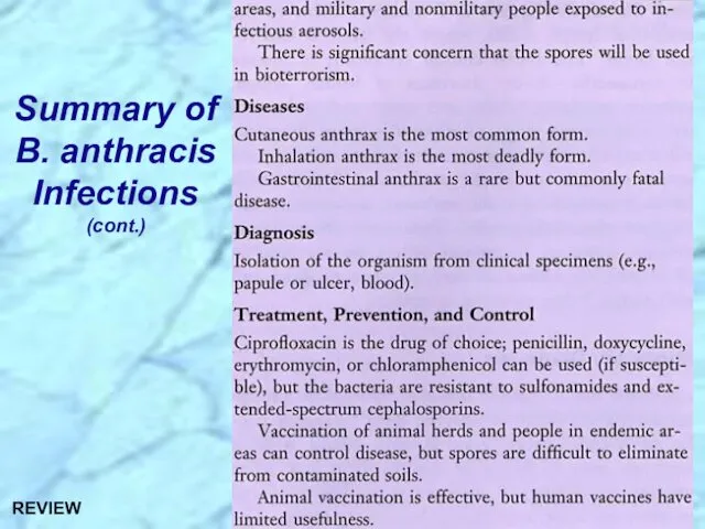 Summary of B. anthracis Infections (cont.) REVIEW