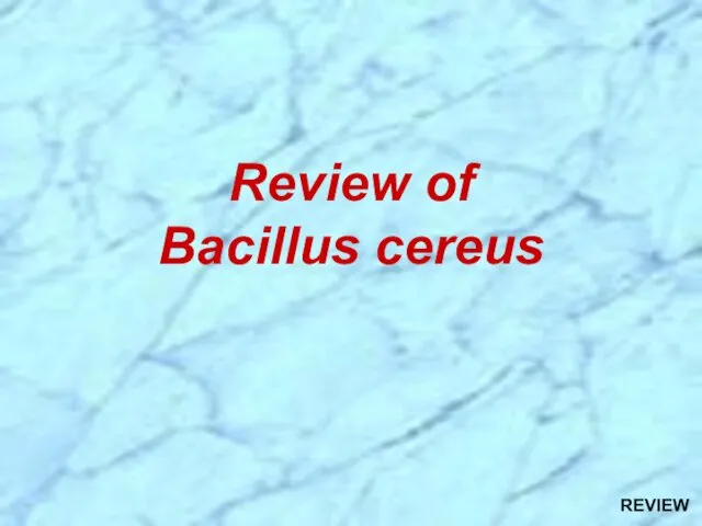 Review of Bacillus cereus REVIEW