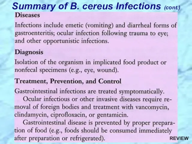 Summary of B. cereus Infections (cont.) REVIEW