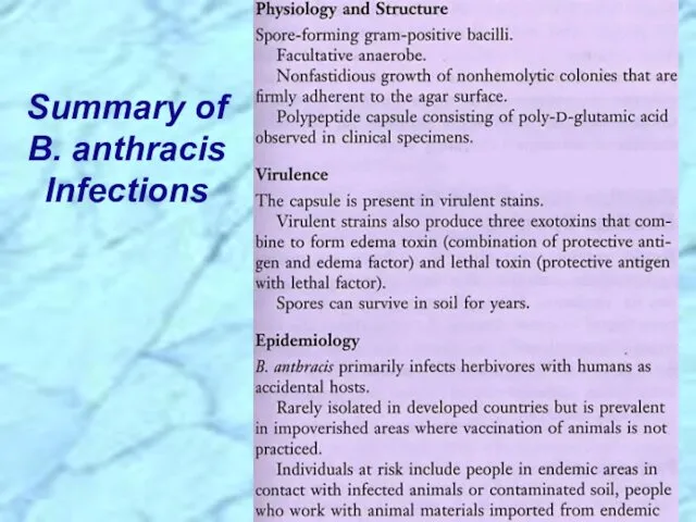 Summary of B. anthracis Infections