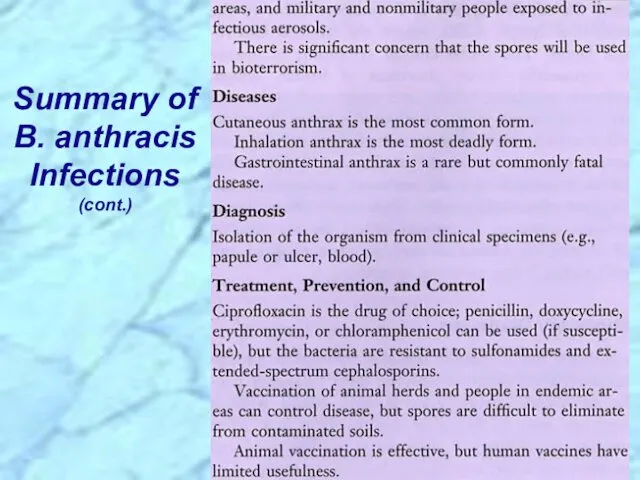 Summary of B. anthracis Infections (cont.)