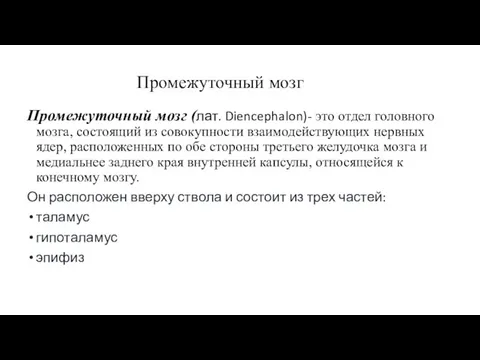 Промежуточный мозг Промежуточный мозг (лат. Diencephalon)- это отдел головного мозга,