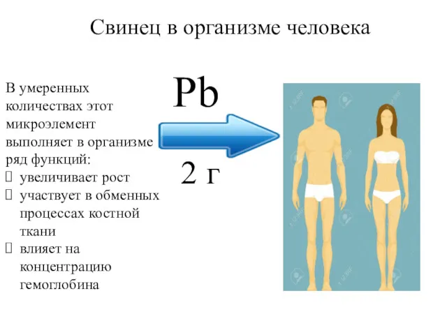 Pb 2 г В умеренных количествах этот микроэлемент выполняет в