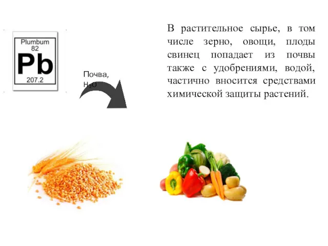 В растительное сырье, в том числе зерно, овощи, плоды свинец