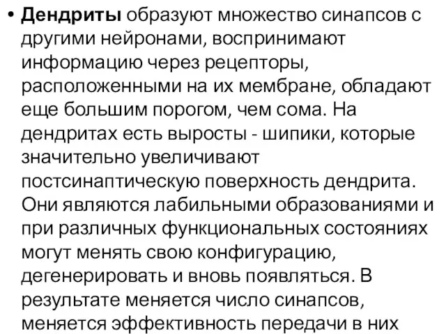 Дендриты образуют множество синапсов с другими нейронами, воспринимают информацию через