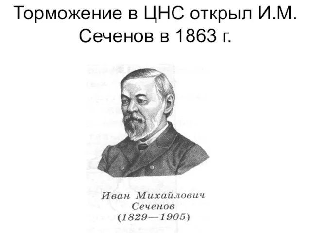 Торможение в ЦНС открыл И.М. Сеченов в 1863 г.