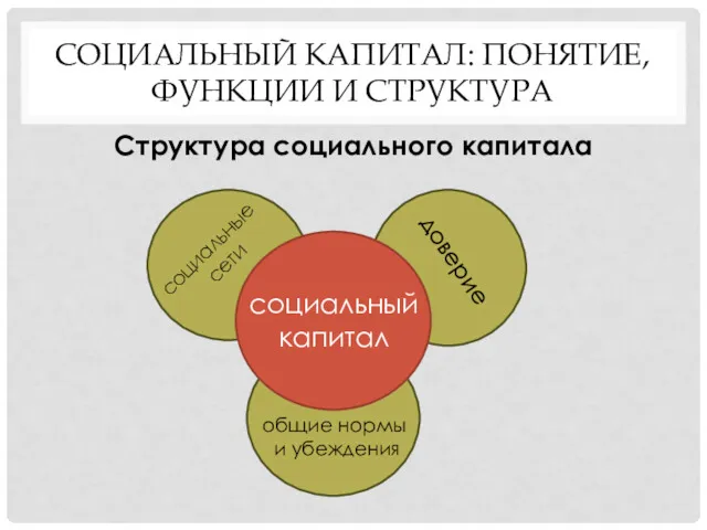 СОЦИАЛЬНЫЙ КАПИТАЛ: ПОНЯТИЕ, ФУНКЦИИ И СТРУКТУРА Структура социального капитала социальный