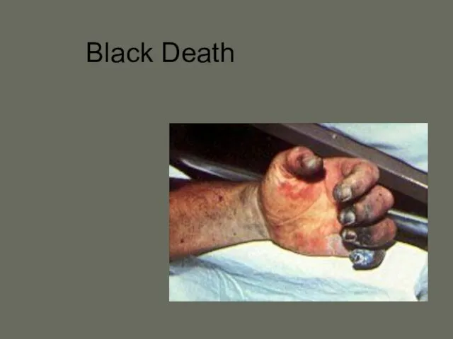 Black Death