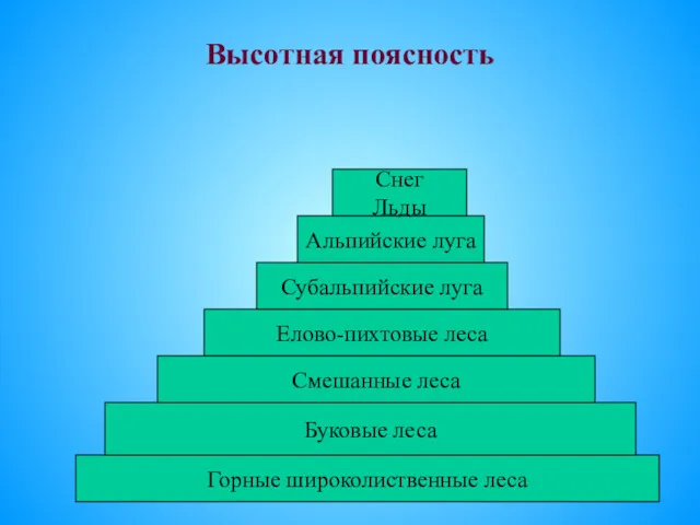 Высотная поясность Горные широколиственные леса Буковые леса Смешанные леса Елово-пихтовые леса Субальпийские луга