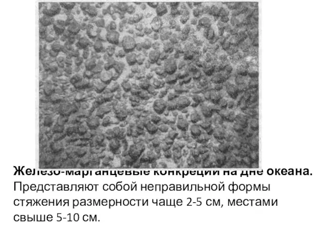 Железо-марганцевые конкреции на дне океана. Представляют собой неправильной формы стяжения