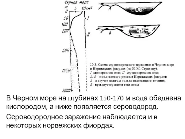 В Черном море на глубинах 150-170 м вода обеднена кислородом,