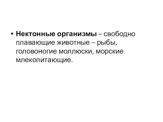 Нектонные организмы – свободно плавающие животные – рыбы, головоногие моллюски, морские млекопитающие.