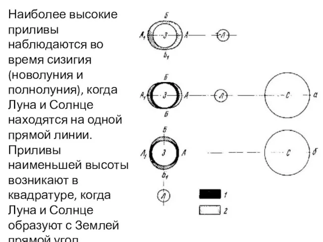 Наиболее высокие приливы наблюдаются во время сизигия (новолуния и полнолуния),