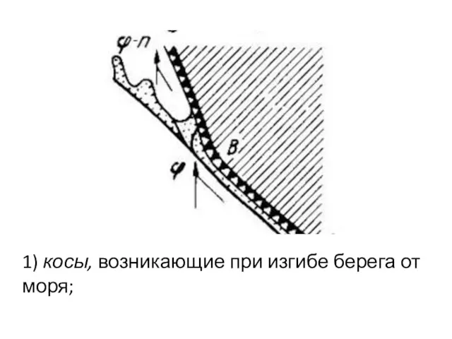 1) косы, возникающие при изгибе берега от моря;