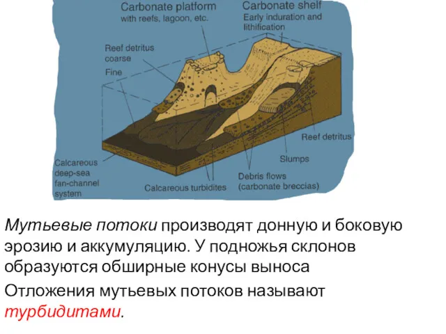 Мутьевые потоки производят донную и боковую эрозию и аккумуляцию. У