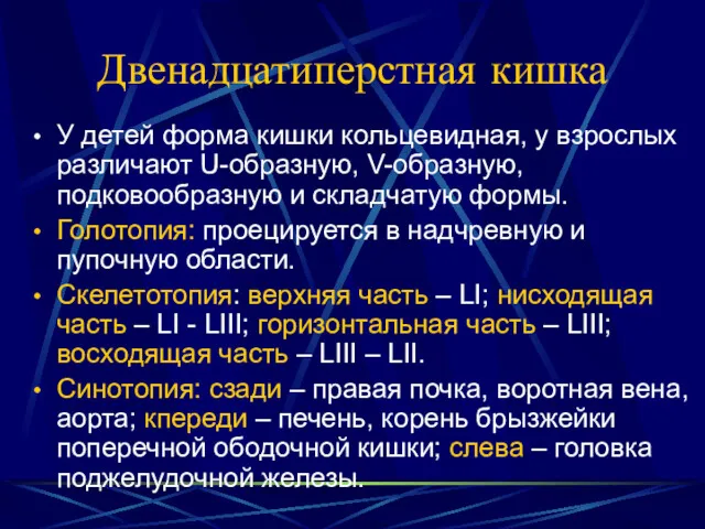 Двенадцатиперстная кишка У детей форма кишки кольцевидная, у взрослых различают