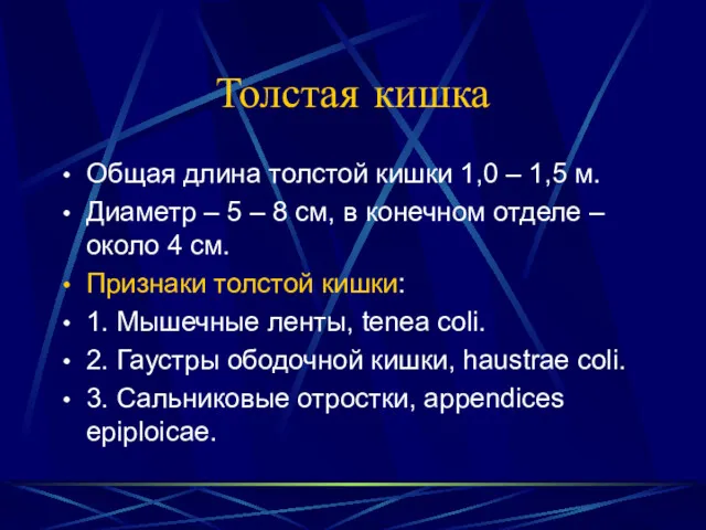 Толстая кишка Общая длина толстой кишки 1,0 – 1,5 м.