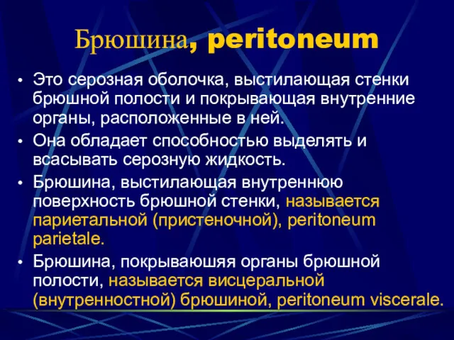 Брюшина, peritoneum Это серозная оболочка, выстилающая стенки брюшной полости и