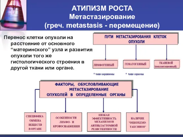 АТИПИЗМ РОСТА Метастазирование (греч. metastasis - перемещение) Перенос клетки опухоли