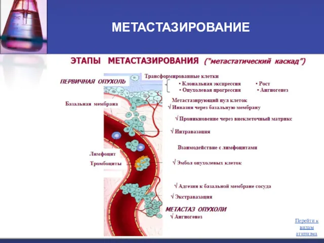 МЕТАСТАЗИРОВАНИЕ Перейти к видам атипизма