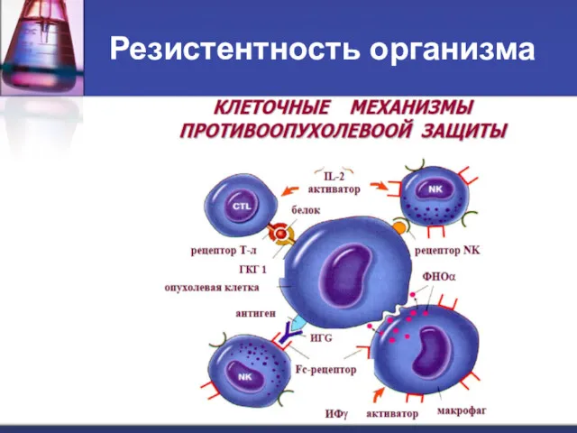 Резистентность организма