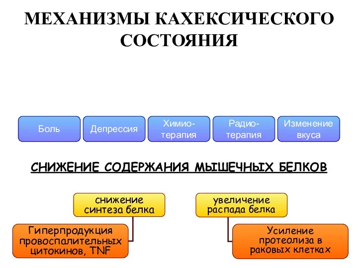 МЕХАНИЗМЫ КАХЕКСИЧЕСКОГО СОСТОЯНИЯ