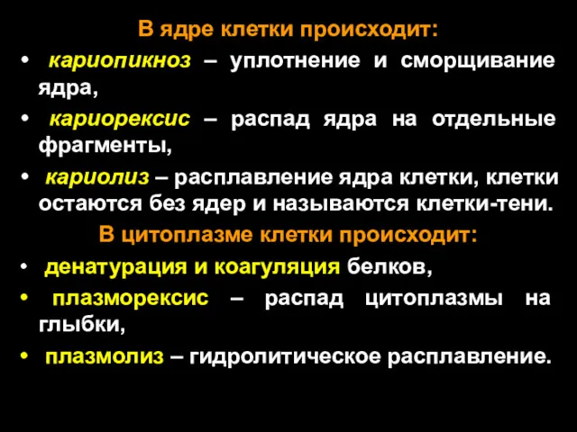 В ядре клетки происходит: кариопикноз – уплотнение и сморщивание ядра,