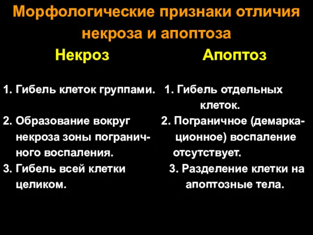 Морфологические признаки отличия некроза и апоптоза Некроз Апоптоз 1. Гибель