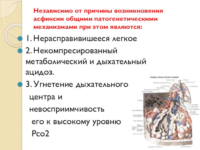 Независимо от причины возникновения асфиксии общими патогенетическими механизмами при этом