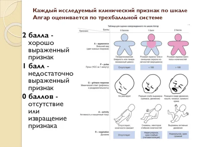 Каждый исследуемый клинический признак по шкале Апгар оценивается по трехбалльной