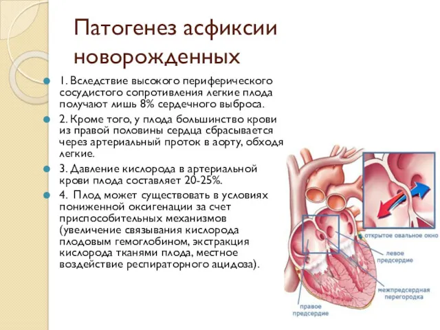 Патогенез асфиксии новорожденных 1. Вследствие высокого периферического сосудистого сопротивления легкие