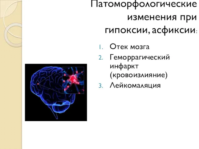 Патоморфологические изменения при гипоксии, асфиксии: Отек мозга Геморрагический инфаркт (кровоизлияние) Лейкомаляция