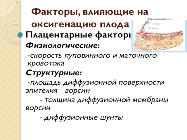 Факторы, влияющие на оксигенацию плода Плацентарные факторы: Физиологические: -скорость пуповинного