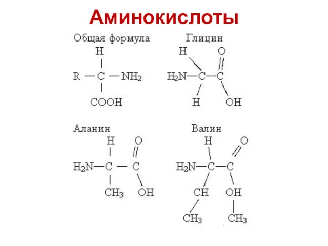 Аминокислоты
