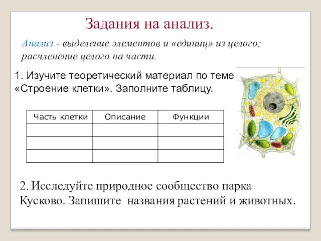 Задания на анализ. 1. Изучите теоретический материал по теме «Строение