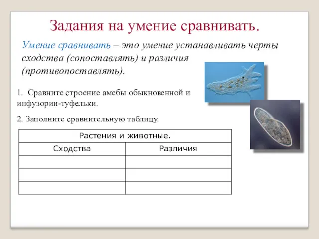 Умение сравнивать – это умение устанавливать черты сходства (сопоставлять) и