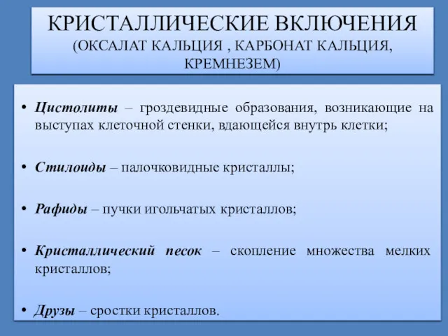 КРИСТАЛЛИЧЕСКИЕ ВКЛЮЧЕНИЯ (ОКСАЛАТ КАЛЬЦИЯ , КАРБОНАТ КАЛЬЦИЯ, КРЕМНЕЗЕМ) Цистолиты –