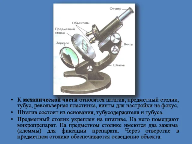 К механической части относятся штатив, предметный столик, тубус, револьверная пластинка,