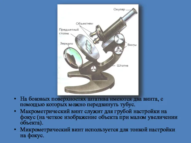 На боковых поверхностях штатива имеются два винта, с помощью которых