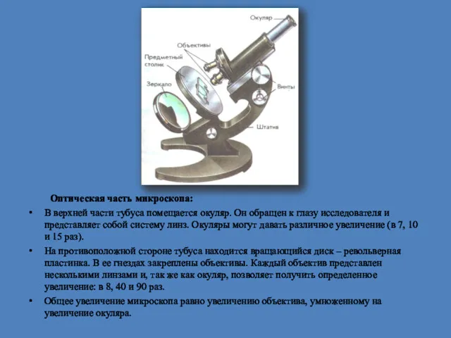 Оптическая часть микроскопа: В верхней части тубуса помещается окуляр. Он