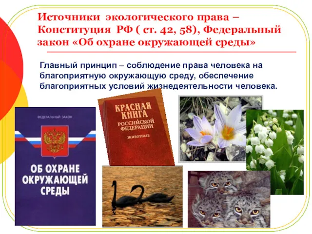 Источники экологического права – Конституция РФ ( ст. 42, 58), Федеральный закон «Об
