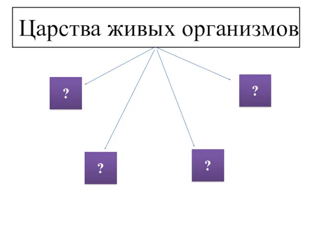 Царства живых организмов ? ? ? ?