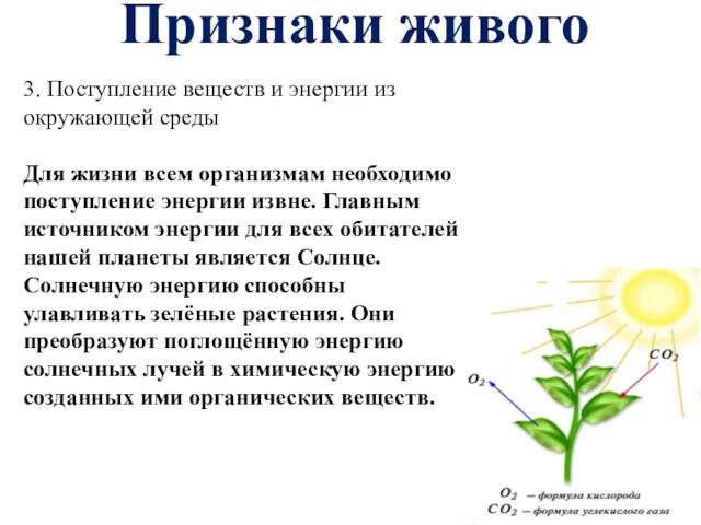 Признаки живого 3. Поступление веществ и энергии из окружающей среды