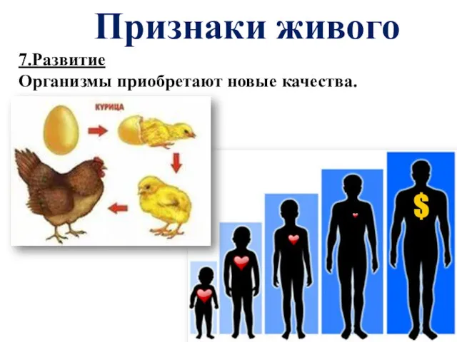 Признаки живого 7.Развитие Организмы приобретают новые качества.