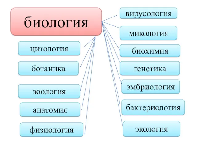 биология цитология ботаника зоология микология эмбриология генетика бактериология физиология анатомия экология биохимия вирусология