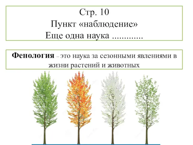 Стр. 10 Пункт «наблюдение» Еще одна наука ............. Фенология –