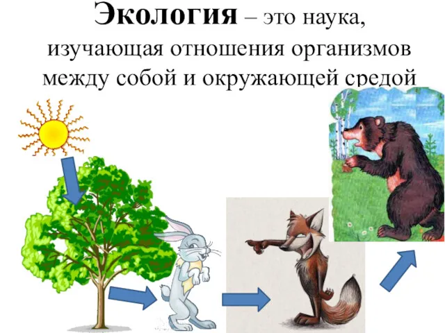 Экология – это наука, изучающая отношения организмов между собой и окружающей средой