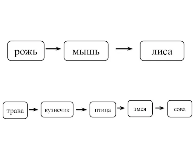 рожь мышь лиса трава кузнечик птица змея сова