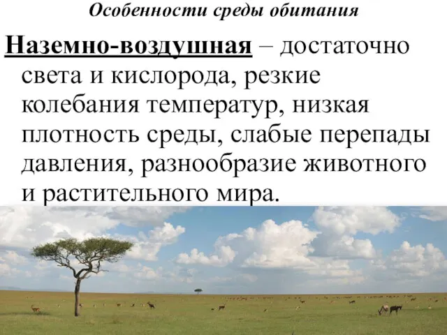 Особенности среды обитания Наземно-воздушная – достаточно света и кислорода, резкие