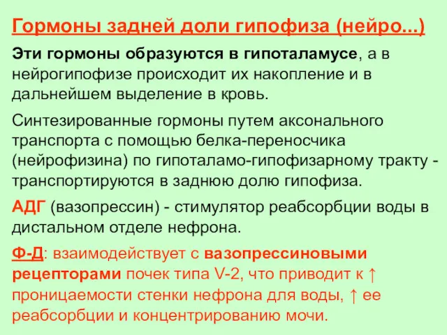 Гормоны задней доли гипофиза (нейро...) Эти гормоны образуются в гипоталамусе, а в нейрогипофизе